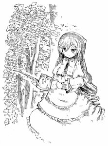 Rating: Safe Score: 0 Tags: 1girl closed_mouth dress frills greyscale holding image long_hair long_sleeves looking_at_viewer monochrome outdoors solo standing suiseiseki very_long_hair User: admin