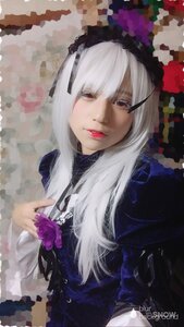 Rating: Safe Score: 0 Tags: 1girl bangs dress flower frills hairband lips long_hair long_sleeves looking_at_viewer red_eyes rose silver_hair solo suigintou User: admin