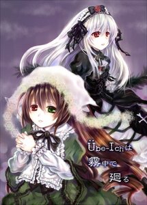 Rating: Safe Score: 0 Tags: 2girls black_ribbon brown_hair dress flower frills green_dress green_eyes hairband heterochromia holding_hands image interlocked_fingers long_hair long_sleeves looking_at_viewer multiple_girls own_hands_together pair red_eyes silver_hair suigintou suiseiseki very_long_hair wings User: admin