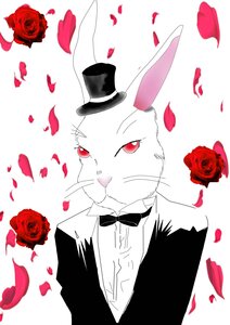 Rating: Safe Score: 0 Tags: black_headwear bow bowtie flower hat image laplace_no_ma petals red_eyes red_flower red_rose rose rose_petals solo striped top_hat User: admin