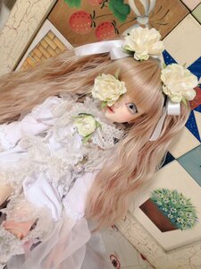 Rating: Safe Score: 0 Tags: 1girl argyle blonde_hair doll dress flower fruit hair_flower hair_ornament kirakishou lace leaf lips lolita_fashion long_hair rose sitting solo traditional_media white_flower white_rose User: admin