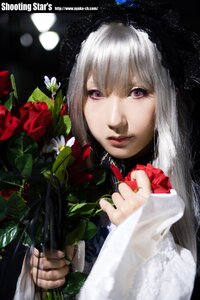 Rating: Safe Score: 0 Tags: 1girl blurry closed_mouth depth_of_field flower holding lips looking_at_viewer purple_eyes solo suigintou upper_body User: admin