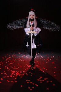 Rating: Safe Score: 0 Tags: 1girl angel_wings bangs black_background black_wings closed_mouth feathered_wings flower full_body long_hair petals solo standing suigintou white_wings wings User: admin