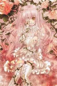 Rating: Safe Score: 0 Tags: 1girl doll_joints dress eyepatch flower frills image joints kirakishou long_hair pink_flower pink_hair pink_rose plant rose solo thighhighs thorns traditional_media very_long_hair vines white_flower white_rose yellow_eyes User: admin