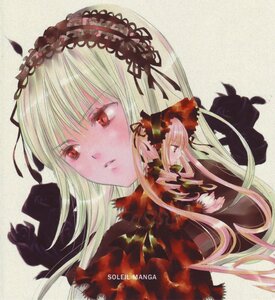 Rating: Safe Score: 0 Tags: 2girls auto_tagged blonde_hair dress flower frills image long_hair long_sleeves multiple_girls pair red_eyes rose shinku silver_hair suigintou User: admin