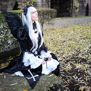 Rating: Safe Score: 0 Tags: 1girl black_dress black_wings dress flower frills hairband long_hair long_sleeves profile solo suigintou white_hair wings User: admin