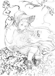 Rating: Safe Score: 0 Tags: 1girl dress flower greyscale image long_hair monochrome shinku solo very_long_hair User: admin