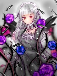 Rating: Safe Score: 0 Tags: 1girl black_flower black_rose blue_flower blue_rose dress flower gothic_lolita image lolita_fashion long_hair looking_at_viewer pink_rose purple_flower purple_rose red_eyes red_flower red_rose ribbon rose rose_petals silver_hair solo suigintou thorns User: admin