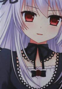 Rating: Safe Score: 0 Tags: 1girl auto_tagged bangs black_dress black_ribbon blush detached_collar dress eyebrows_visible_through_hair hair_ribbon image long_hair looking_at_viewer red_eyes ribbon silver_hair simple_background smile solo suigintou User: admin