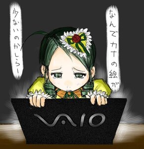 Rating: Safe Score: 0 Tags: 1girl ahoge flower frills green_eyes green_hair image kanaria long_sleeves ribbon rose sad solo tears User: admin