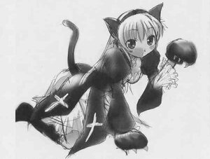 Rating: Safe Score: 0 Tags: 1girl animal_ears cat_ears cat_tail greyscale image monochrome paws solo suigintou tail User: admin