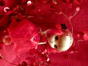 Rating: Safe Score: 0 Tags: 1girl blonde_hair doll dress flower long_hair looking_at_viewer red_background red_dress red_flower red_theme rose shinku sitting solo User: admin