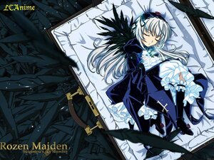 Rating: Safe Score: 0 Tags: 1girl black_wings closed_eyes dress frills hairband image long_hair long_sleeves lying ribbon rose silver_hair sleeping solo suigintou weapon wings User: admin