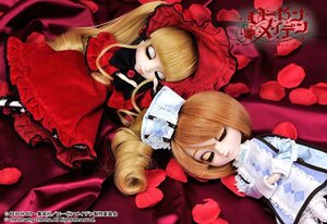 Rating: Safe Score: 0 Tags: 2girls blonde_hair bow closed_eyes doll dress drill_hair flower frills long_hair long_sleeves multiple_girls red_dress rose shinku sleeping solo twintails very_long_hair User: admin