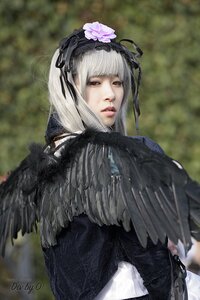 Rating: Safe Score: 0 Tags: 1girl bangs blurry blurry_background depth_of_field feathers flower gothic_lolita hairband lips looking_at_viewer looking_back red_eyes ribbon signature solo suigintou User: admin