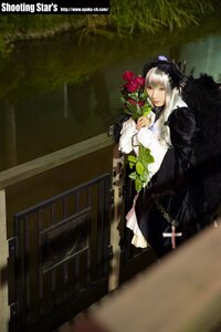 Rating: Safe Score: 0 Tags: 1girl black_dress bouquet dress flower frills holding long_sleeves red_eyes solo suigintou User: admin