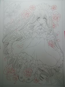 Rating: Safe Score: 0 Tags: 1girl dress flower image long_hair long_sleeves looking_at_viewer monochrome pink_flower pink_rose red_flower red_rose rose rose_petals shinku solo thorns traditional_media twintails very_long_hair User: admin