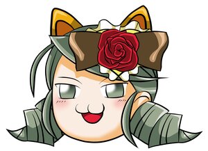 Rating: Safe Score: 0 Tags: :d black_eyes blush drill_hair flower green_hair grey_eyes hat image kanaria looking_at_viewer no_humans open_mouth red_flower red_rose rose simple_background smile solo twin_drills white_background User: admin