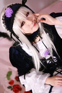 Rating: Safe Score: 0 Tags: 1girl blurry closed_mouth depth_of_field dress flower hairband lips long_hair long_sleeves looking_at_viewer purple_flower purple_rose red_flower red_rose rose silver_hair solo suigintou upper_body User: admin