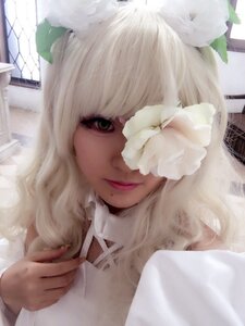 Rating: Safe Score: 0 Tags: 1girl animal_ears bangs flower hair_ornament kirakishou leaf lips looking_at_viewer nail_polish realistic solo white_flower white_hair User: admin