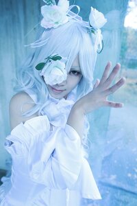 Rating: Safe Score: 0 Tags: 1girl blurry blurry_background depth_of_field dress flower green_eyes hair_flower hair_ornament kirakishou lips looking_at_viewer solo white_dress white_flower white_hair white_rose User: admin