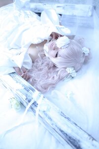 Rating: Safe Score: 0 Tags: 1girl blurry closed_eyes closed_mouth depth_of_field dress flower hair_flower hair_ornament kirakishou long_hair solo white_dress white_flower white_hair white_rose white_theme User: admin