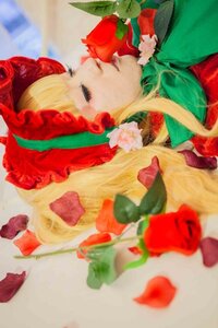 Rating: Safe Score: 0 Tags: 1girl bangs blonde_hair blurry blurry_foreground closed_eyes depth_of_field flower leaf lips long_hair photo profile red_flower red_rose rose shinku solo User: admin