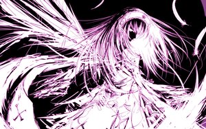 Rating: Safe Score: 0 Tags: 1girl feathered_wings image kaname_madoka long_hair monochrome solo suigintou wings User: admin