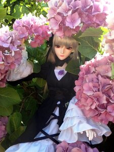 Rating: Safe Score: 0 Tags: 1girl bangs black_dress brown_eyes doll dress flower frills leaf lips long_sleeves looking_at_viewer solo suigintou User: admin