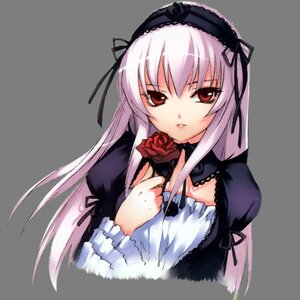 Rating: Safe Score: 0 Tags: 1girl black_ribbon detached_collar dress flower frills holding holding_flower image long_hair long_sleeves looking_at_viewer red_eyes ribbon rose silver_hair simple_background solo suigintou upper_body white_background User: admin
