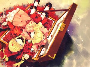 Rating: Safe Score: 0 Tags: 2girls blonde_hair blue_eyes bow dress flower frills hinaichigo image long_hair lying multiple_girls pair petals pink_bow ribbon rose shinku User: admin