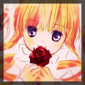 Rating: Safe Score: 0 Tags: 2girls black_border blonde_hair blue_eyes blurry blurry_background blurry_foreground close-up depth_of_field flower image letterboxed looking_at_viewer motion_blur multiple_girls photo purple_eyes red_flower red_rose reflection rose shinku solo zoom_layer User: admin