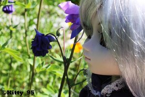 Rating: Safe Score: 0 Tags: 1girl barasuishou blurry blurry_background blurry_foreground closed_mouth depth_of_field doll eyelashes flower from_side hair_ornament lips long_hair profile purple_flower solo User: admin