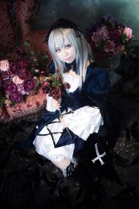 Rating: Safe Score: 0 Tags: 1girl dress flower frills gothic_lolita hairband lolita_fashion long_hair red_flower red_rose rose silver_hair solo suigintou User: admin