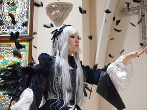 Rating: Safe Score: 0 Tags: 1girl bird crow dress feathers indoors long_hair long_sleeves silver_hair solo suigintou wings User: admin