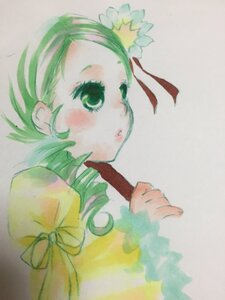 Rating: Safe Score: 0 Tags: 1girl blush bow drill_hair flower green_eyes green_hair image kanaria long_sleeves looking_at_viewer ribbon simple_background solo traditional_media twin_drills upper_body User: admin