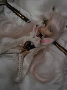 Rating: Safe Score: 0 Tags: 1girl animal doll dress kirakishou long_hair photo pink_hair solo User: admin