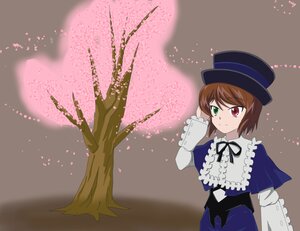 Rating: Safe Score: 0 Tags: 1girl blue_dress brown_hair cherry_blossoms dress frills full_moon green_eyes hat heterochromia image long_sleeves looking_at_viewer moon night petals red_eyes short_hair smile solo souseiseki tree User: admin