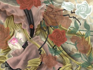 Rating: Safe Score: 0 Tags: 2girls blonde_hair drill_hair flower hat image long_hair multiple_girls pink_flower pink_rose red_flower red_rose rose shinku solo white_rose yellow_flower yellow_rose User: admin