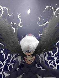 Rating: Safe Score: 0 Tags: 1girl black_dress black_wings dress feathers floating_hair flower frills image long_hair long_sleeves silver_hair solo suigintou wings User: admin