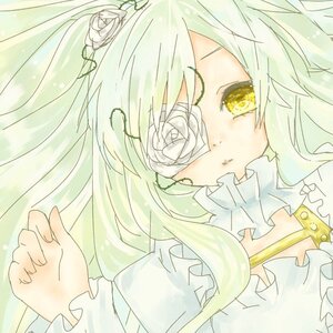 Rating: Safe Score: 0 Tags: 1girl dress eyepatch flower frills image kirakishou long_hair rose solo traditional_media white_flower white_rose yellow_eyes User: admin