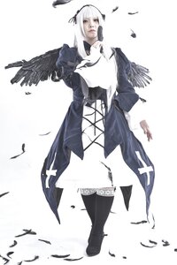 Rating: Safe Score: 0 Tags: 1girl bangs bird black_feathers black_wings closed_mouth crow dove eagle feathered_wings feathers full_body long_hair ribbon seagull solo standing striped suigintou white_feathers white_hair wings User: admin