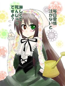 Rating: Safe Score: 0 Tags: 1girl black_ribbon blush brown_hair dress floral_background flower frills green_dress green_eyes head_scarf heterochromia image long_hair long_sleeves looking_at_viewer neck_ribbon red_eyes ribbon solo suiseiseki very_long_hair User: admin