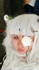 Rating: Safe Score: 0 Tags: 1girl closed_mouth face flower kirakishou lips looking_at_viewer portrait rose solo white_flower white_hair white_rose User: admin