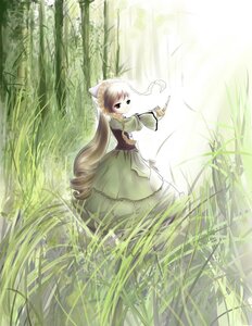 Rating: Safe Score: 0 Tags: 1girl blonde_hair brown_hair dress drill_hair forest grass green_dress green_eyes green_theme image long_hair long_sleeves looking_at_viewer nature outdoors plant solo standing suiseiseki very_long_hair User: admin