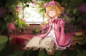 Rating: Safe Score: 0 Tags: 1girl blonde_hair book bow closed_eyes dress flower hina_ichigo hinaichigo image long_sleeves open_book pink_bow pink_rose plant rose short_hair sitting sleeping solo vines window User: admin