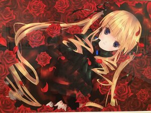 Rating: Safe Score: 0 Tags: 1girl black_rose blonde_hair blue_eyes drill_hair flower image long_hair petals pink_rose purple_rose red_flower red_rose rose rose_petals shinku solo thorns twintails yellow_rose User: admin