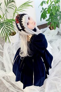 Rating: Safe Score: 0 Tags: 1girl black_dress black_wings dress frills gothic_lolita hairband juliet_sleeves lolita_fashion lolita_hairband long_hair long_sleeves looking_at_viewer plant puffy_sleeves solo suigintou white_hair wings User: admin