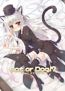 Rating: Safe Score: 0 Tags: 1girl animal_ears asa_(swallowtail) bangs black_legwear blush cat_ears cat_tail commentary_request dress eyebrows_visible_through_hair frills hair_between_eyes hat high_heels highres image long_hair lying on_side photoshop_(medium) red_eyes rozen_maiden shoes solo suigintou tail thighhighs white_hair zettai_ryouiki User: admin