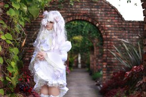 Rating: Safe Score: 0 Tags: 1girl animal_ears blurry day dress flower frills hair_ornament kirakishou long_hair long_sleeves outdoors solo standing white_dress white_hair User: admin